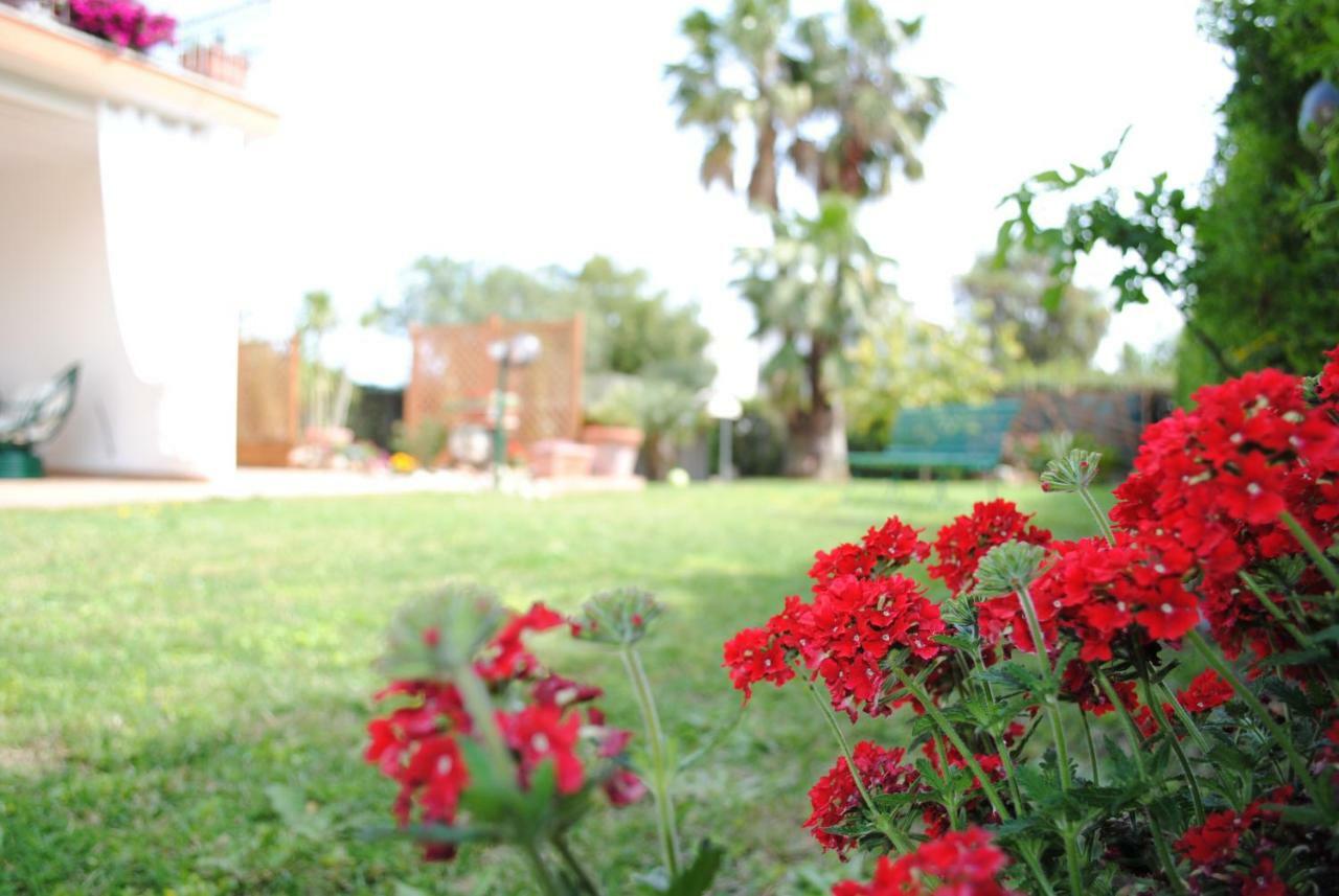 Villa Regina B&B เน็ตตูโน ภายนอก รูปภาพ
